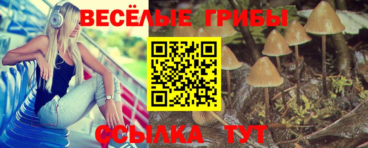 Галлюциногенные грибы MAGIC MUSHROOMS Салехард